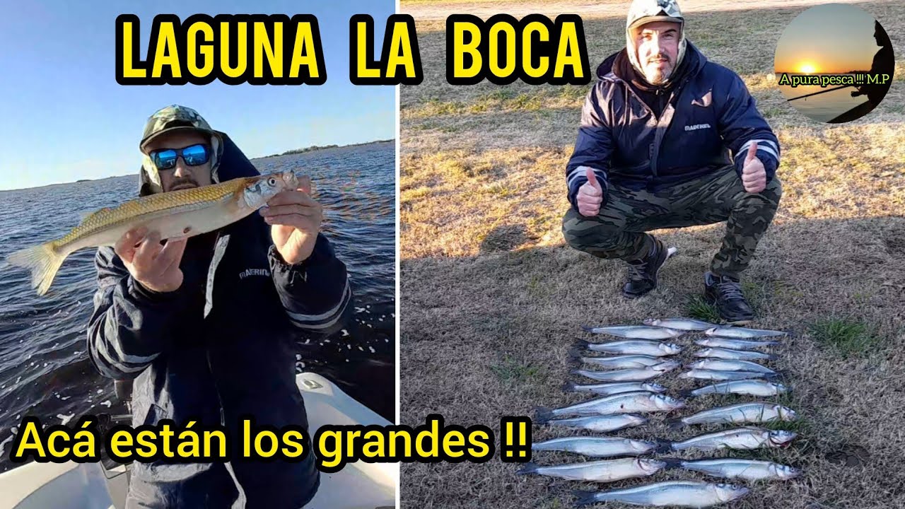 Pesca  de pejerrey en laguna la boca 20/6/25 acá están los grandes