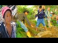 Stone collecting to build her House ( DhanLaxmi house building campaign 3 )