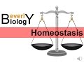 Homeostasis