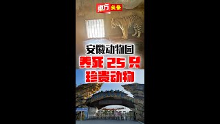 安徽动物园养死25只珍贵动物【东方头条】2024-5-14