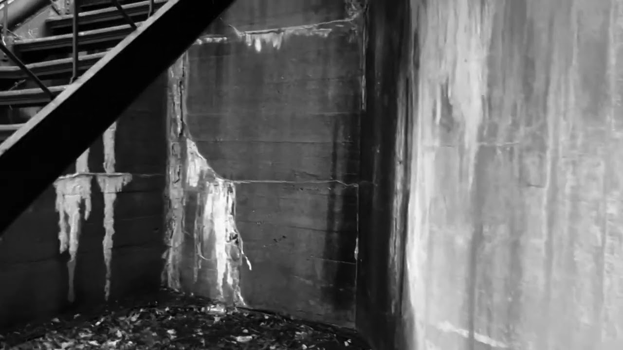 Roman Turovsky - "Cantio Lodomerica CXVI" - Stuart Walsh (lute)