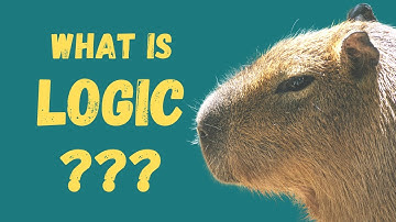 What Is Logic? | An Answer in 90 Seconds