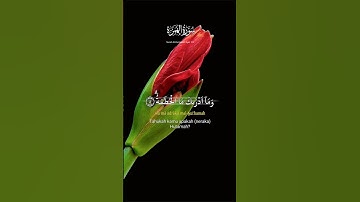 سورة الهمزة.. #ماهر_المعيقلي #قرآن #ريحانة_قرآن #quran #تلاوة_خاشعة #تلاوات #طمأنينة