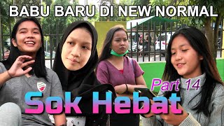 BABU BARU DI NEW NORMAL - SOK HEBAT (Part 14)