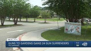 Guns to Gardens brings in 24 gun surrender pledges
