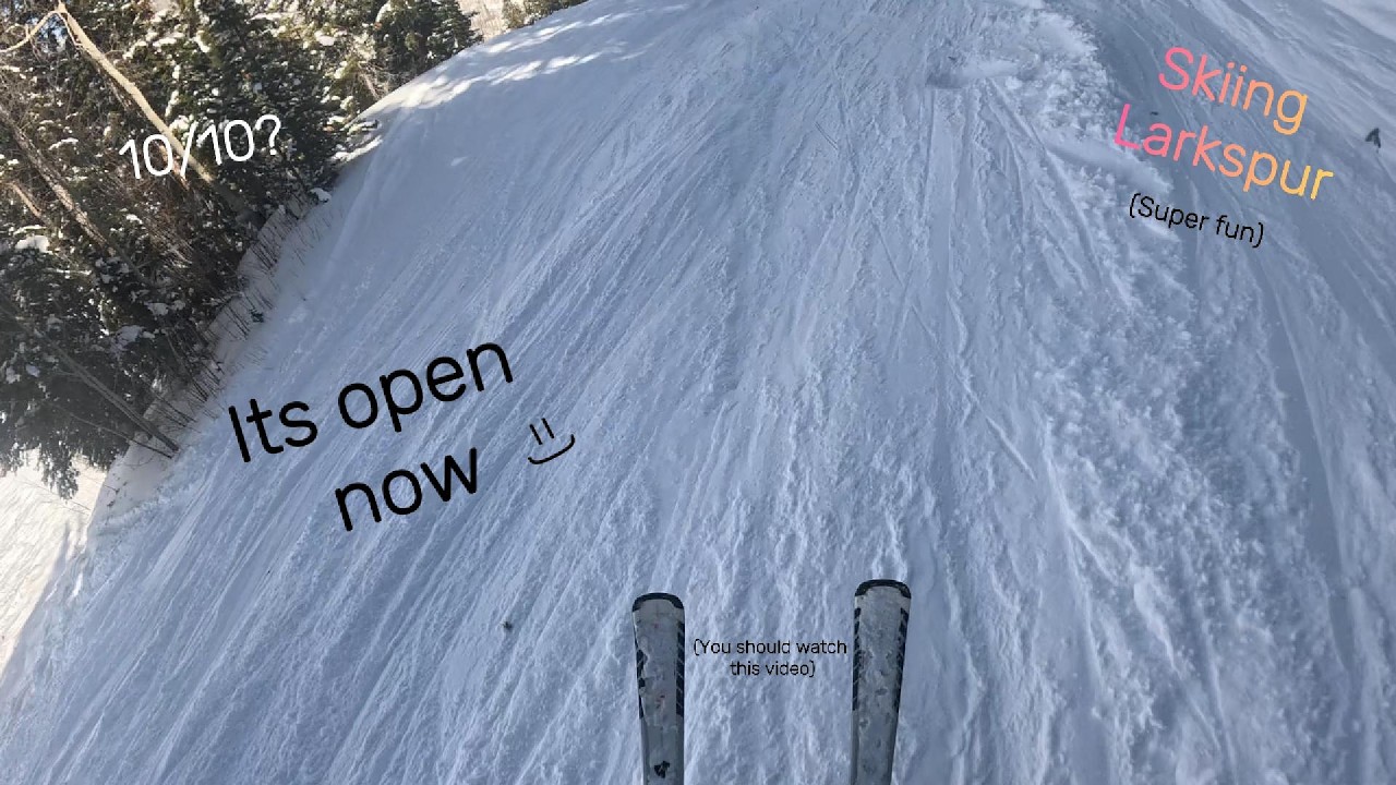 Larkspur Opening Day at Beaver Creek