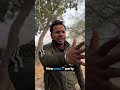 Happy new year party instagram youtube comedy fun funny trand trand