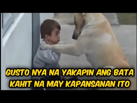 Video: Hindi Kumakain Ang Aso? Marahil Ang Amoy Alagang Hayop Ay Amoy O Masarap