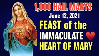 🌹Feast of the Immaculate Heart of Mary 🌹1,000 Hail Marys June 12, 2021