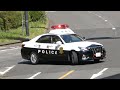 踏切出口の一通を逆走・殺人事件発生でパトカー・覆面が緊急走行・薬物所持で現行犯逮捕・自動車警ら隊が容疑者を連行・強引な割り込みにクラクション・金魚のフン走行・マークXが覆面に変身・白バイの目の前で歩行