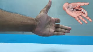 تمارين لعلاج الاصبع الزنادي |Exercise for trigger finger