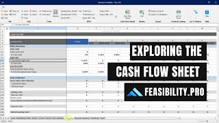 15 Exploring the Cash Flow Sheet: Detailed Inflows &amp; Outflows | Standard Feasibility Module