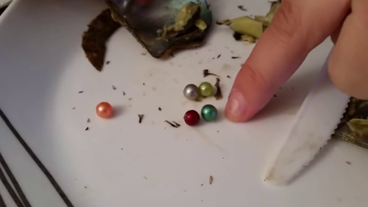 Oyster Pearl Opening We got 5 pearls in one oyster!!! YouTube