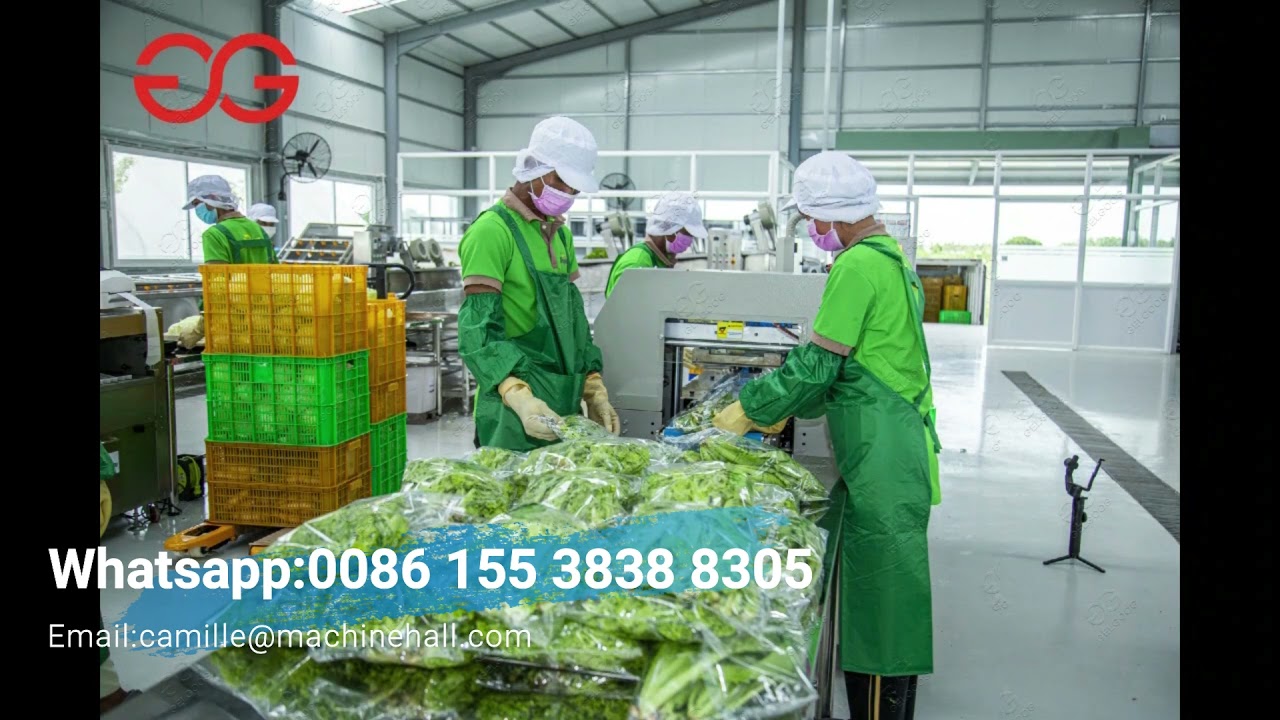 Vegetable Processing PlantLettuce Salad Washing Drying Packing