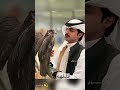 الهواجر لايك و كل الحب للهواجر منصور ال زايد