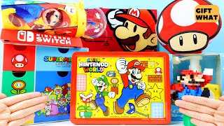 Super Mario and Luigi REAL LIFE Merchandise Collection Unboxing 【 GiftWhat 】