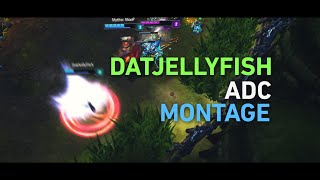 Diamond ADC Montage #1 - DatJellyFish