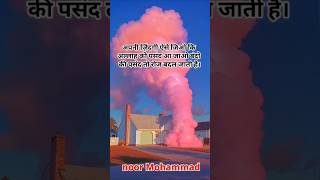 Sarkar Ka Naukar Hun Koigulam Nahin