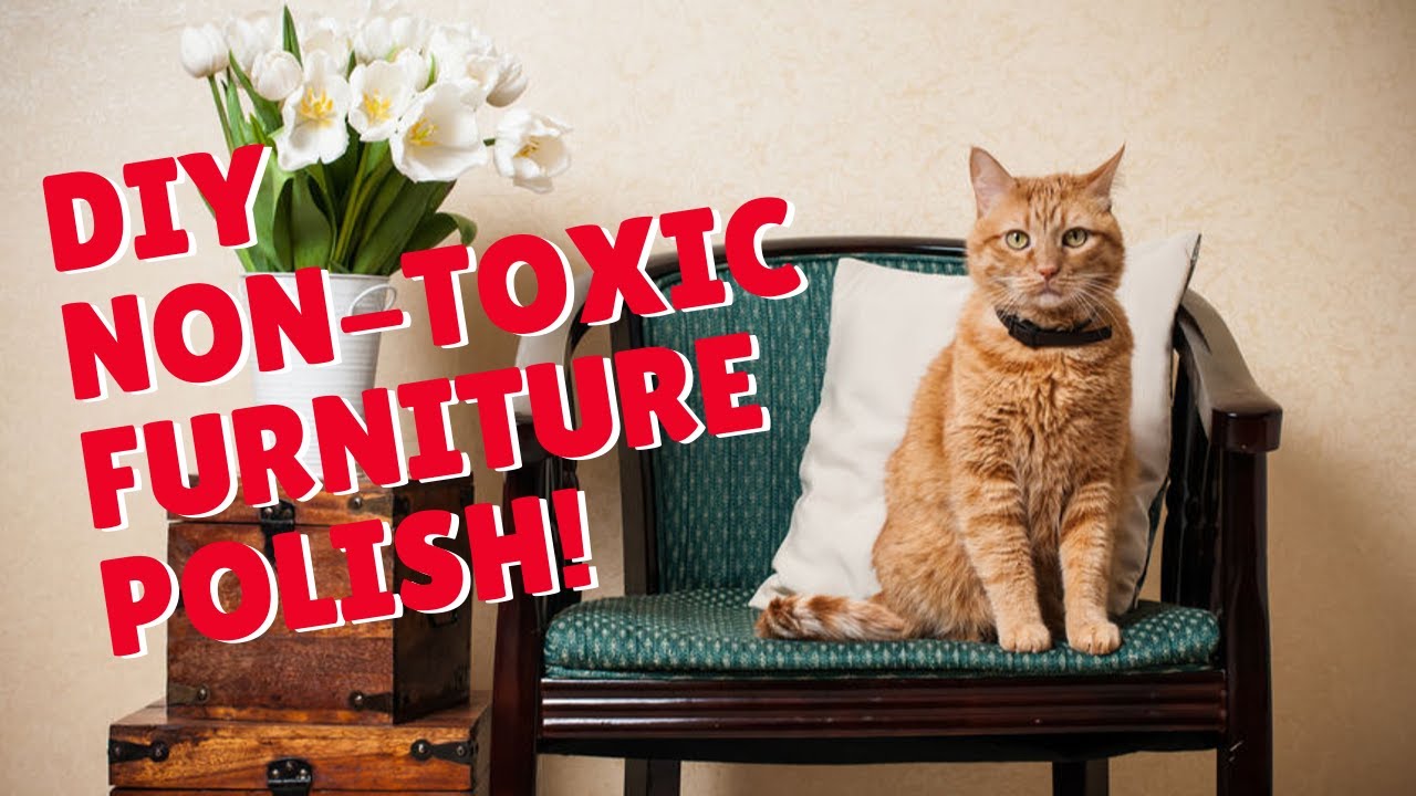 How To Make Pet Safe Furniture Polish Two Crazy Cat Ladies