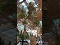 #bengaluru #BangaloreAirport #travelling  #travel  #highlights