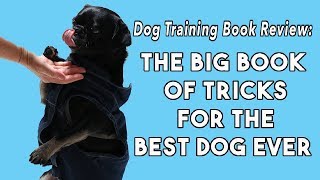 Best Dog Training Book: 'The Big Book of Tricks for the Best Dog Ever' by Larry Kay & Chris Perondi by Talent Hounds 1,186 views 4 years ago 4 minutes, 22 seconds