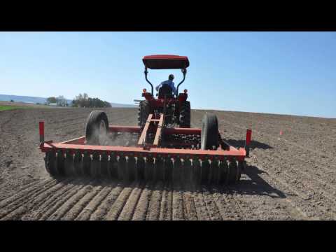 Can You Grow Quinoa In The United States