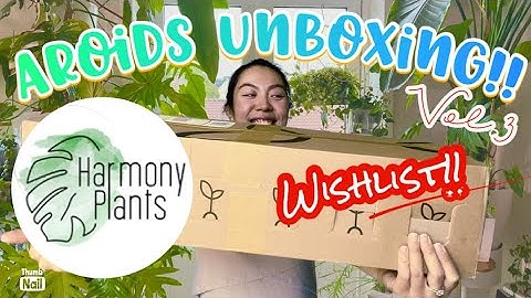 📦 Harmony Plants | Unboxing | Shop Review | Communication | Shipping | Package | Quality | Size