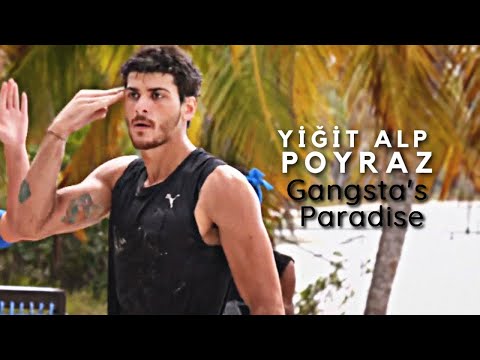 yiğit alp poyraz [survivor 2021] | gangsta's paradise