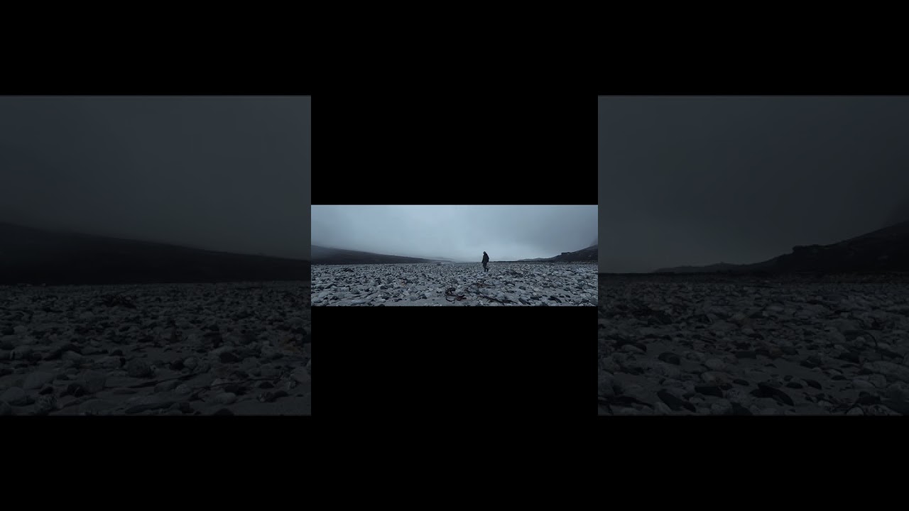 what is your ego like?