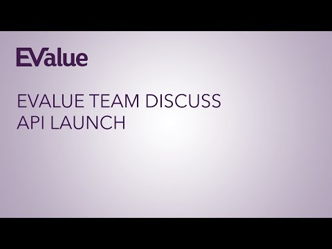 EVALUE TEAM DISCUSS API PORTAL LAUNCH