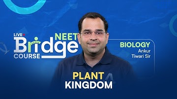 Plant Kingdom (Part-2) | Biology - Free Bridge Course for NEET Aspirants 📚  @ALLENNEET