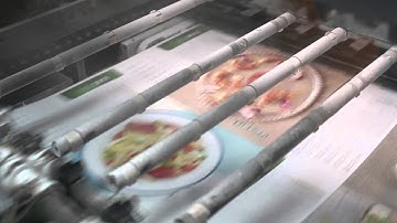 Offset Press Stacker