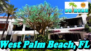 BE HERE: 5 Fun and Exciting Attractions to Visit near West Palm Beach, FL