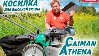 Газонокосилка Caiman Athena 60S - самоходная бензиновая косилка для высокой травы(, 2015-09-04T09:38:02.000Z)
