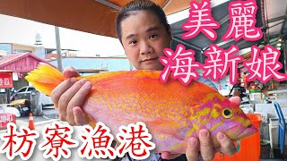 屏東枋寮漁港丨賣魚的大姐說這花鱸是最大隻的丨當日現釣新鮮魚貨丨這魚10年前一斤要1200