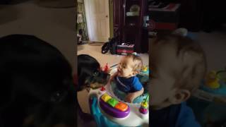 Puppy French Kissing A Baby