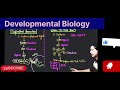 Complete Developmental Biology in 5 Minutes | CSIR NET Life Science Revision#csirnet #lifescience