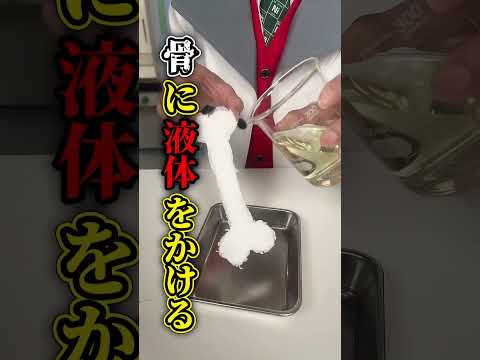 骨を溶かす薬品作ってみた！実際にかけてみる