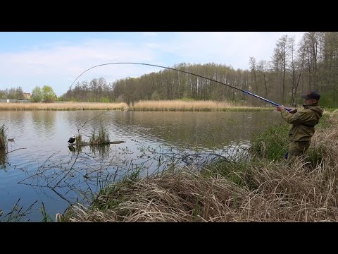 Клюнув амур на удочку з боковим кивком!