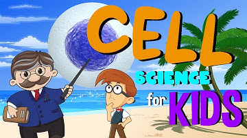 Cell Structure and Functions | Science for Kids