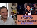 Actor and Filmmaker REACTION & ANALYSIS - DIMASH "LOVE OF TIRED SWANS"