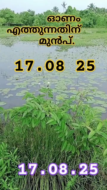 #travel #kearala #shorts #nature