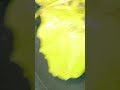Small fish