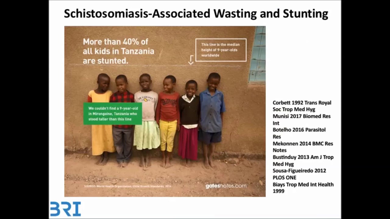 jemen schistosomiasis)