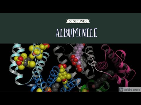 Albumina - proteina care reglează sângele