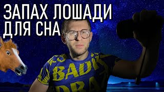 Ашваганда применение и вред. Ашвагандха запрещена в РФ или это просто запах лошади?