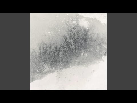 Snohetta