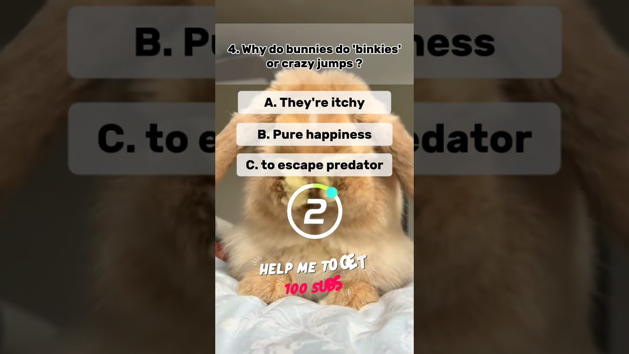 5 Pet Trivia Quiz That Will Surprise You! 🐾🤯 