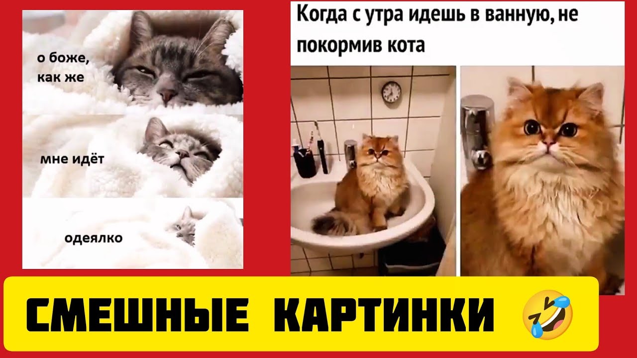 о боже, как же мне идёт одеялко!👘 смешные картинки🤣 и весёлая музыка 🎷