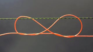 Three best knots to tie two fishing lines together